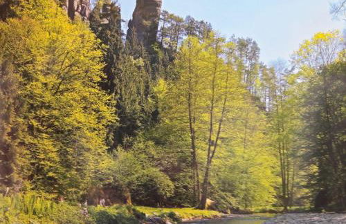 Ferienwohnung-Schrammsteinblick - Foto 29