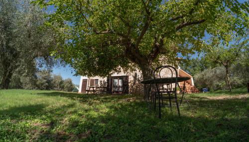 Maestà delle Quattro Chiavi - Foto 5, Garden