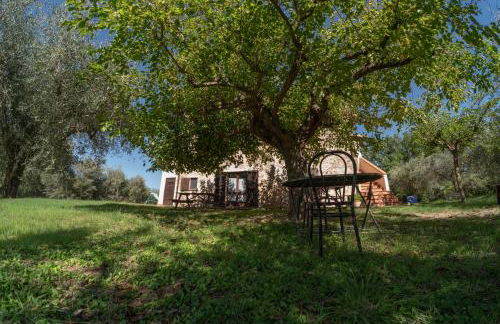 Maestà delle Quattro Chiavi - Foto 5