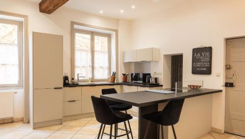 Duplex Jardin Privé et Vue sur le Vieux-Lyon - Foto 4, stove