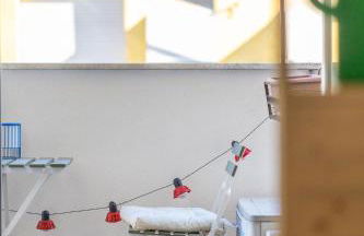 Bindarella ai Navigli - Foto 5