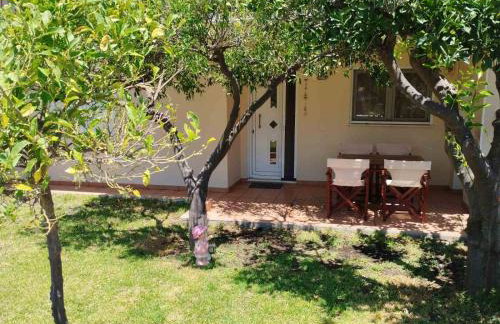 Little Citrus Yard - Foto 1