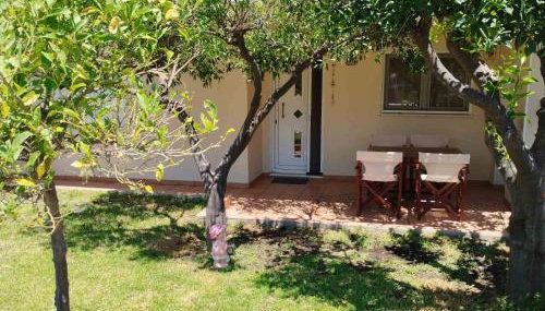 Little Citrus Yard - Foto 1, Garden, Garden view