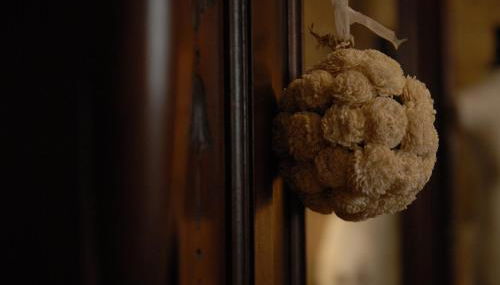 Casa do Meio do Povo - Turismo de Habitação - Foto 4