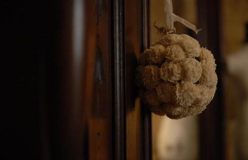 Casa do Meio do Povo - Turismo de Habitação - Foto 4