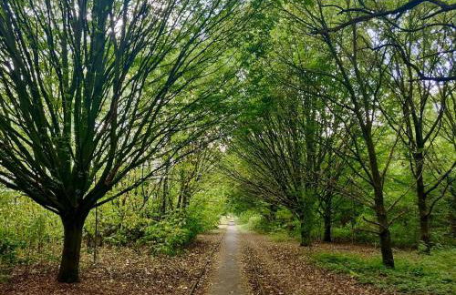 Lakeside Retreat - Spacious 1BR - Peaceful Base Near Wembley - Foto 25