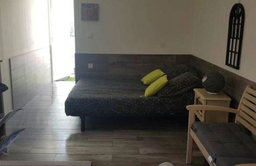 Gîte du stade Le Studio cour parking et piscine partagee - Foto 13