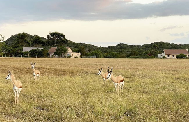 Chalet 40 Entire House Tranquil and Family-friendly Location - Photo 57