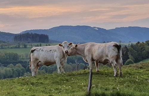 Ferienhaus Junge Ruhr - Foto 24