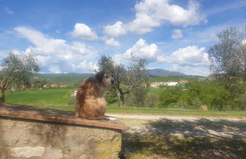 Agriturismo Val della Pieve - Foto 21