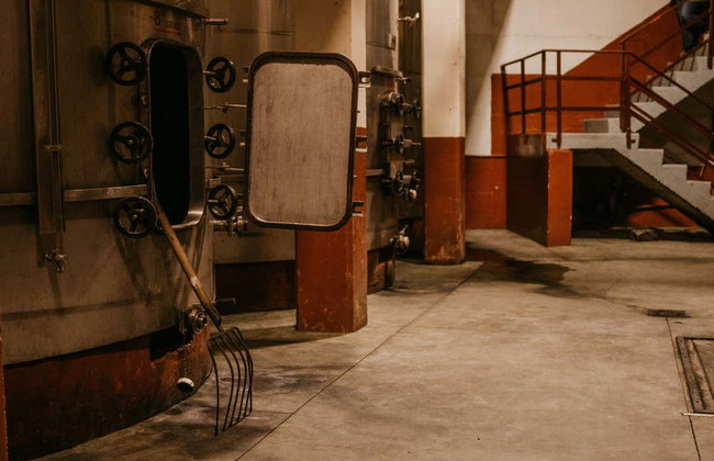 Visita a las bodegas Alútiz - Foto 7