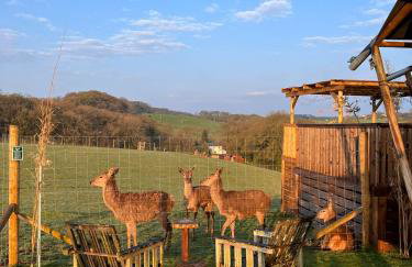 Luxury Safari Lodge-Sleeps 4 6-Deer Park-Dogs Ok - Foto 14