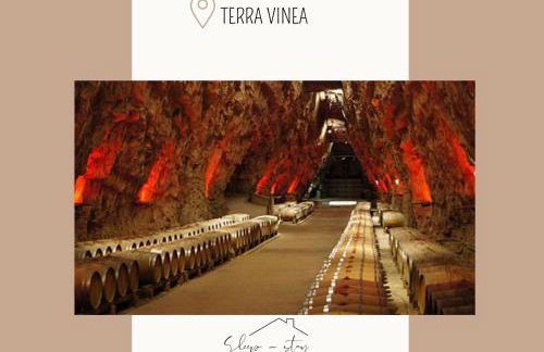 Apartment La Terasse - Foto 31