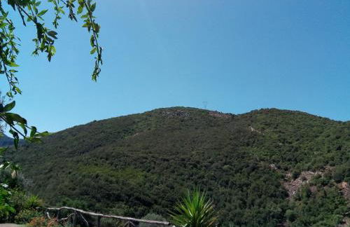 Sa Perda Lada - Foto 42