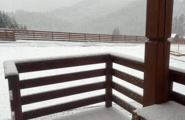 BIESZCZADZKI RAJ z prywatną działką przy linii brzegowej Jeziora Solińskiego Sauna Basen sezonowy - Foto 67