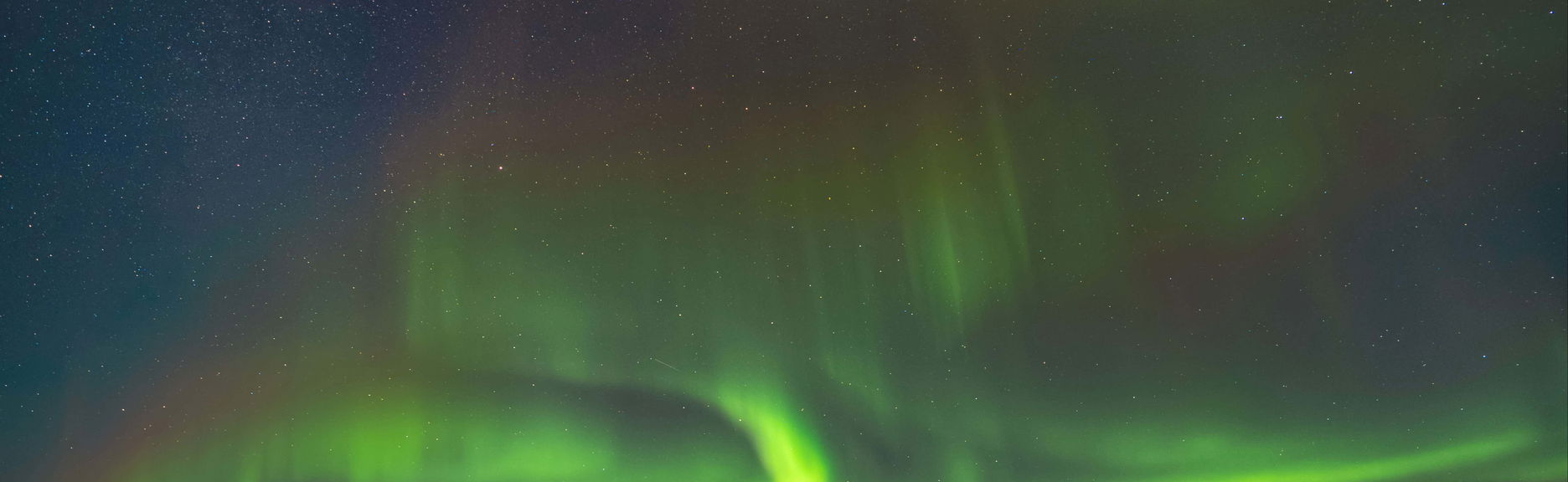 Tour dell'aurora boreale + Avvistamento di balene