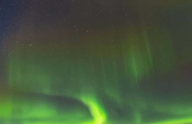 Visite des aurores boréales + Observation de baleines - Photo 1