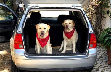 Casa felix - Foto 56