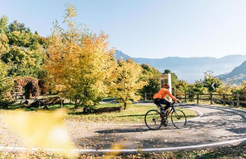 Appartements Elke - Foto 26