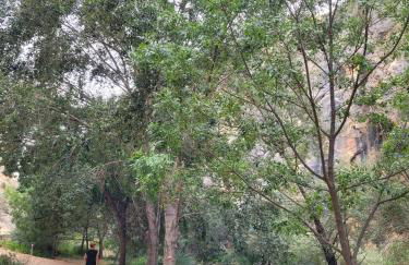 CASA RURAL SANTA AGUEDA - Photo 22