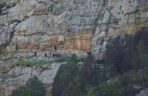 Monte do Pego - Foto 21