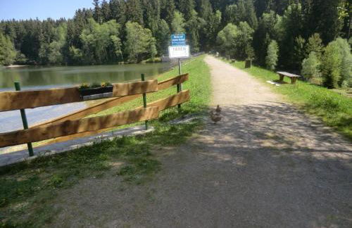 Holiday Home Gretelhaus by Interhome - Foto 28