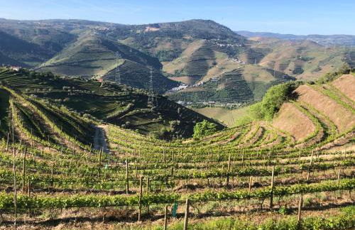 Quinta do Barrocal - Casa de Campo - Foto 15