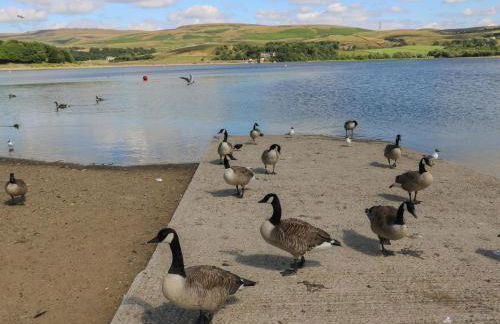 Oak Cottage - Foto 44