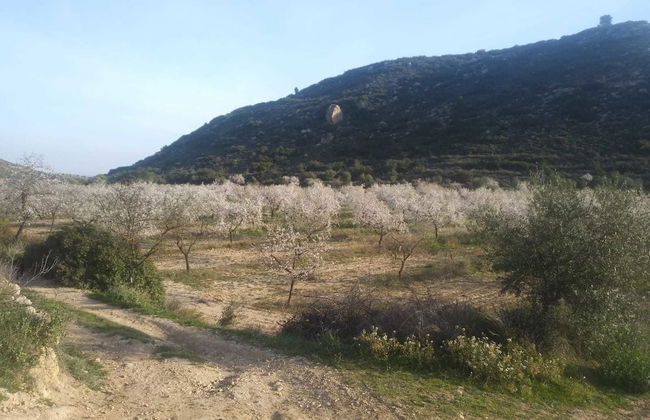 Espai Natural La Comanglora - Foto 47