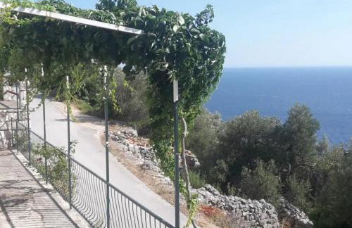 Apartments with parking space Maranovici, Mljet - 22339 - Foto 6