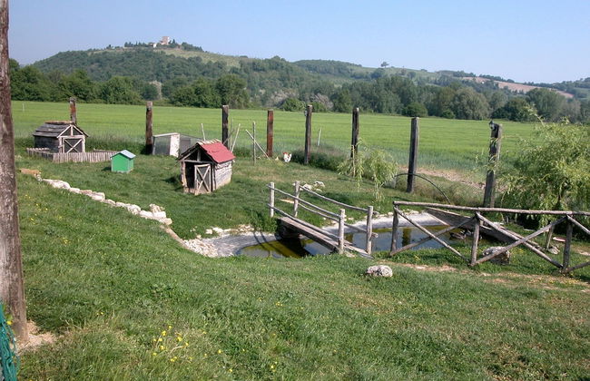 Cottage in Todi With Pool and Terrace - Foto 24