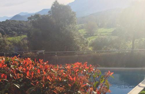 LE PALADIN Porto Pollo Villa privée avec piscine chauffée - Foto 70