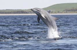 Ard Garraidh - Photo 19