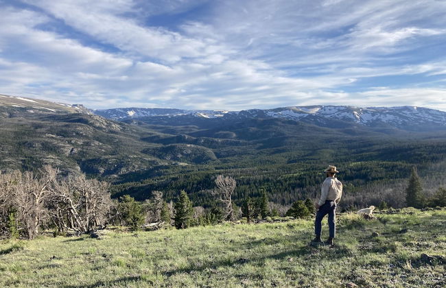 3 Spear Ranch - Foto 22