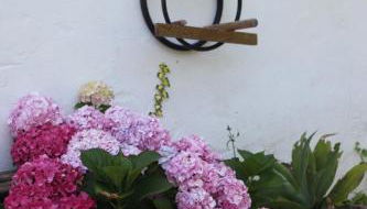 ribeira dos marinheiros azul - Foto 5, Garden