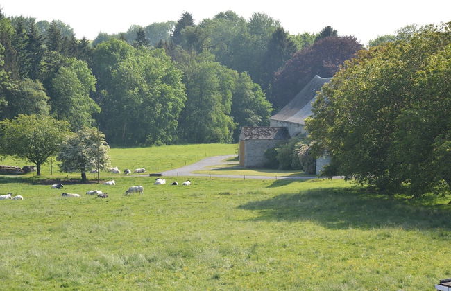 Family Retreat, Forested Anhee - Foto 39