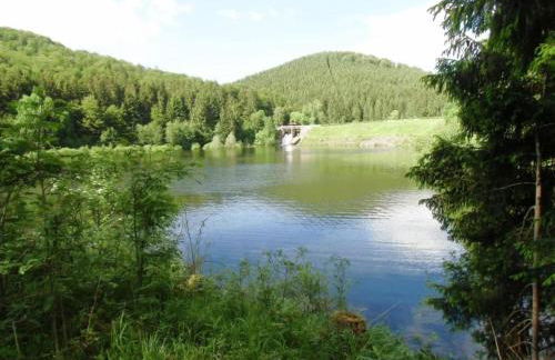 Detached Holiday Residence in the Wonderfully Beautiful Harz - Foto 80