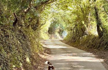 The Barn, Higher Boden, Manaccan, Helston, Cornwall - Foto 23