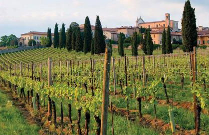 CasaViva - Grazioso Bilocale in Franciacorta - Foto 5