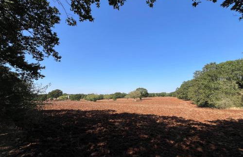 Trullo Dimora Podere Papilio - Foto 63