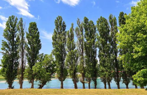 Happy Sparrow - Foto 66