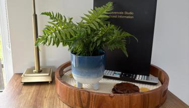 Levenvale Studio - Foto 5