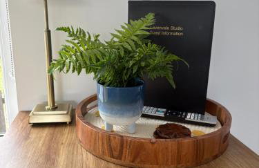Levenvale Studio - Foto 5
