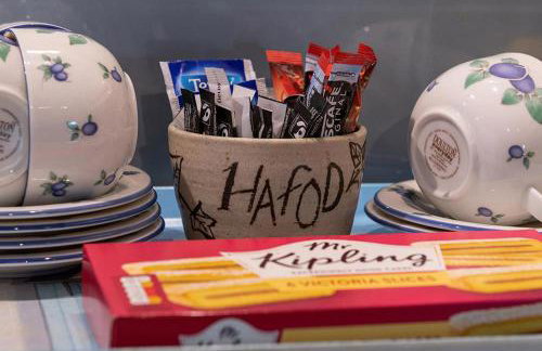 Hafod Rowen - Photo 47