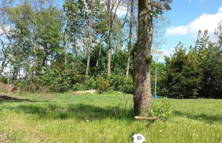 Berensch Holiday Fewo Ursel - Foto 53