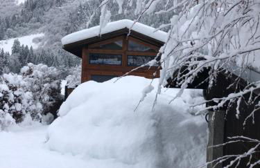 Chalet Plan Glacier - Foto 9