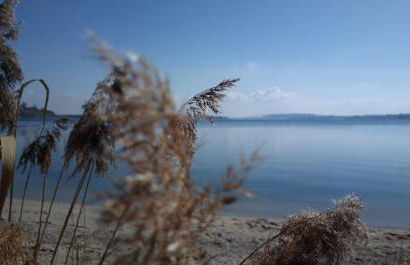 Ferienwohnung Markt 7 - Foto 18