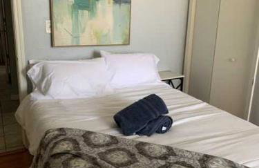 South Loop 4 Bedroom apt - Foto 8