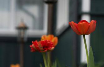 Stara Stolarnia Noclegi - Foto 10