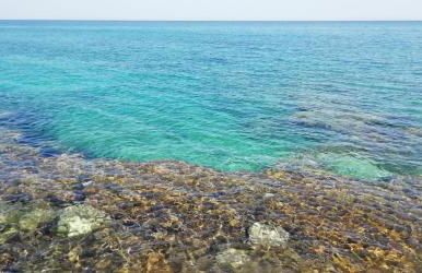 "Villetta Eromina" - Foto 46